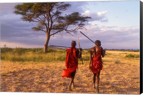 Framed Two Maasai Morans Walking with Spears at Sunset, Amboseli National Park, Kenya Print