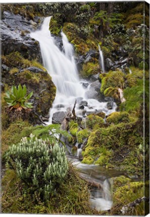 Framed Waterfall at Mount Stanley, Ruwenzori, Uganda Print