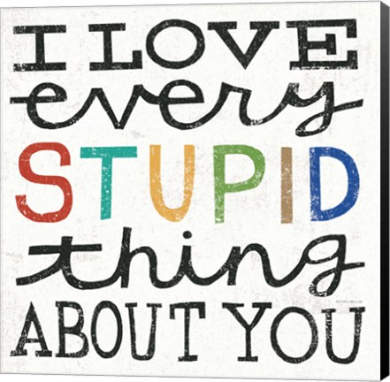 Framed I Love Every Stupid Thing About You Print