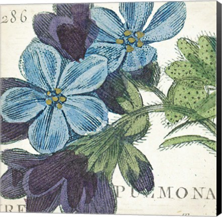 Framed Blue Floral Print