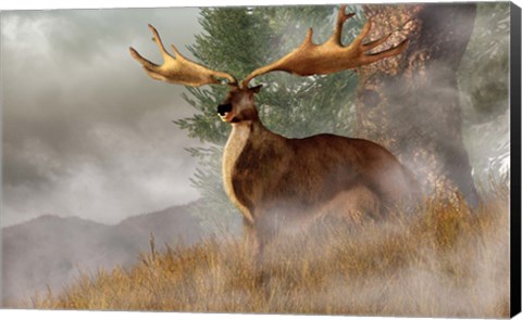 Framed Irish Elk stands in deep grass on a foggy hillside Print