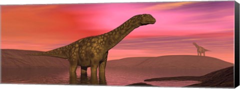 Framed Argentinosaurus dinosaurs amongst a colorful red sunset Print