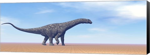 Framed Large Argentinosaurus dinosaur walking in the desert Print