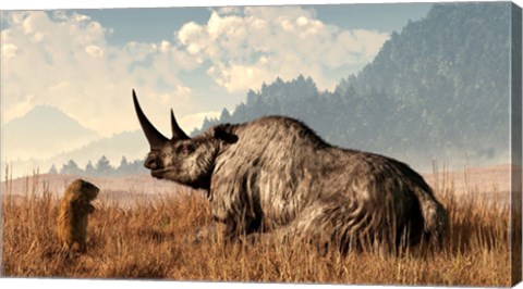 Framed marmot approaches an old and grey woolly rhinocerous Print