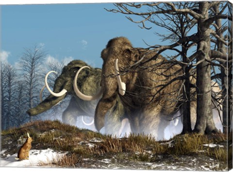 Framed rabbit witnesses a herd of mammoths in a snowy forest Print