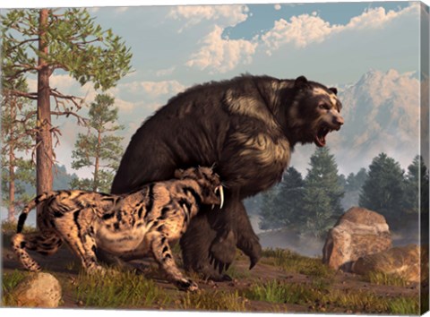 Framed saber-toothed cat tries to drive a short-faced bear out of its territory Print