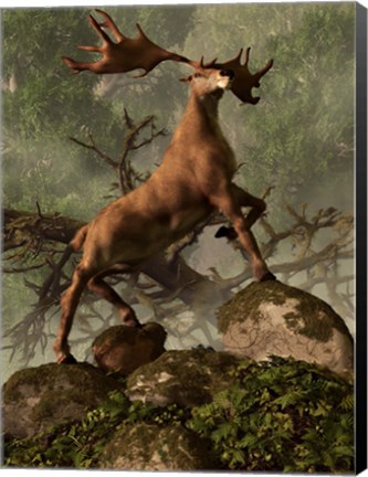 Framed Irish Elk stands proudly in a dense forest Print