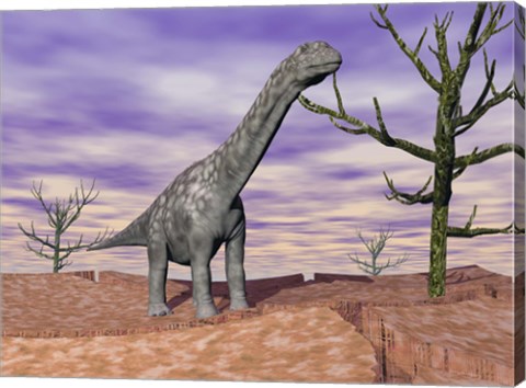 Framed Argentinosaurus standing on the cracked desert ground next to dead trees Print