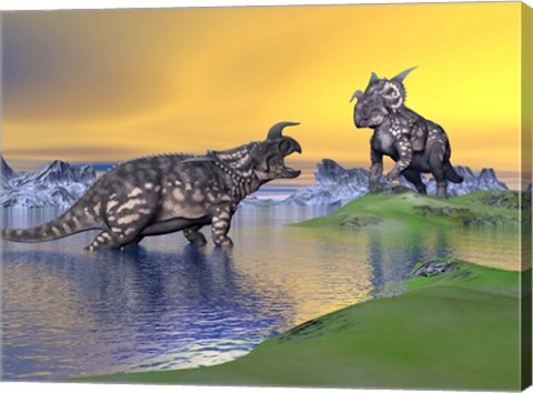 Framed Confrontation between two Einiosaurus dinosaurs Print