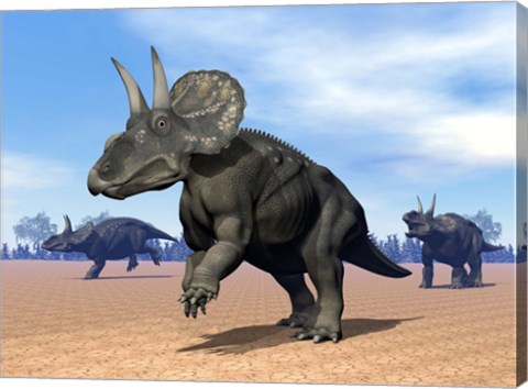 Framed Three Nedoceratops in the desert by daylight Print