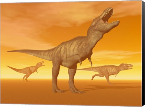 Framed Tyrannosaurus Rex dinosaurs in an orange foggy desert by sunset Print