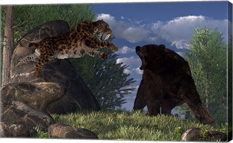 Framed saber-toothed cat leaps at a grizzly bear on a mountain path Print