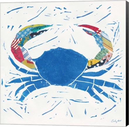 Framed Sea Creature Crab Color Print