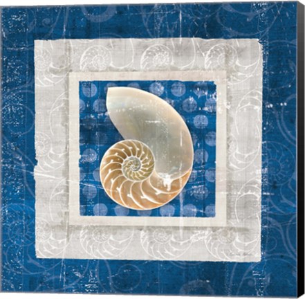 Framed Sea Shell II on Blue Print