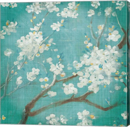 Framed White Cherry Blossoms I on Blue Aged No Bird Print