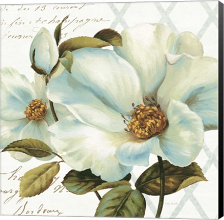 Framed White Floral Bliss II Print