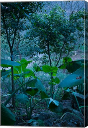 Framed Temple Garden, Fengdu, Chongqing Province, China Print