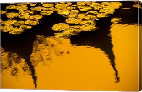 Framed Lily Pond and Temple Reflection in Yellow, China Print