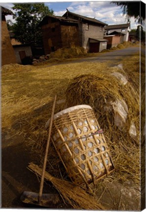 Framed Bai Minority Laying Wheat on the Road, Jianchuan County, Yunnan Province, China Print