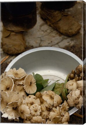 Framed Wild Mushrooms For Sale, Honghe Prefecture, Yunnan Province, China Print