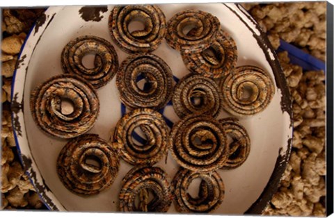 Framed Dried Snakes in Kunming Traditional Medicine Market, Yunnan Province, China Print