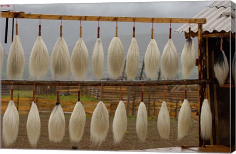 Framed Yak Tails For Sale, Zhongdian, Yunnan Province, China Print