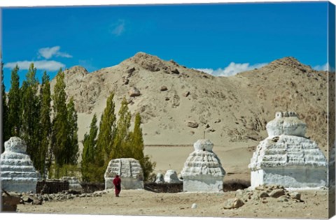 Framed White Stupa Forest, Shey, Ladakh, India Print