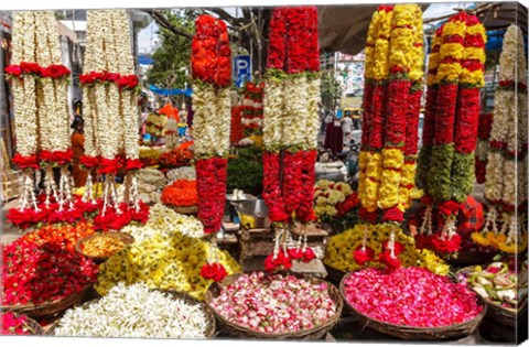 Framed Flower Shop, Southern India Print