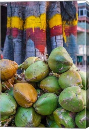 Framed Pile of Coconuts, Bangalore, India Print