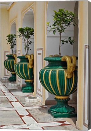 Framed Plant Pots, Raj Palace Hotel, Jaipur, India Print