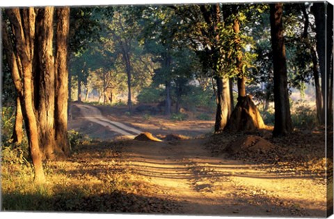 Framed Rural Road, Kanha National Park, India Print