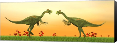 Framed Two Gigantoraptor dinosaurs fighting on green grass by sunset Print