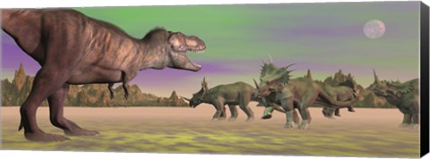 Framed Tyrannosaurus attacking Styracosaurus dinosaurs Print