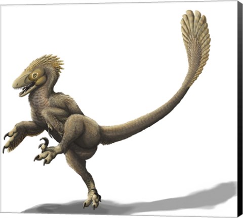 Framed Balaur bondoc, a strange Romanian dromaeosaur Print