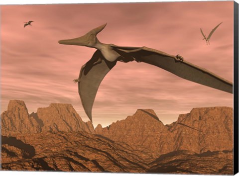 Framed Three pteranodon dinosaurs flying above rocky landscape Print