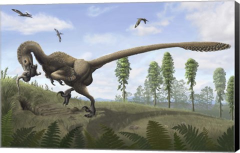 Framed Saurornitholestes seeks prey in burrows Print