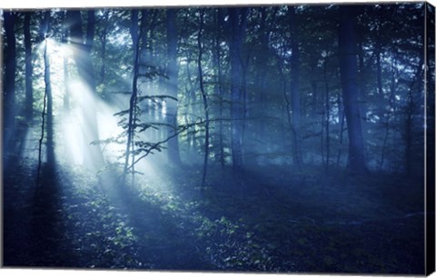 Framed Beam of light in a dark forest, Liselund Slotspark, Denmark Print