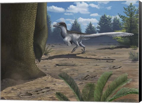 Framed deinonychosaur leaves tracks across a Cretaceous China landscape Print