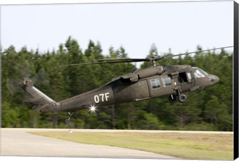 Framed US Army UH-60L Blackhawk helicopter landing at Florida Airport Print