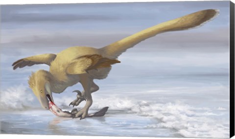 Framed Deinonychus antirrhopus preys on a fish Print