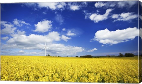 Framed Wind turbine in a canola field against cloudy sky, Denmark Print