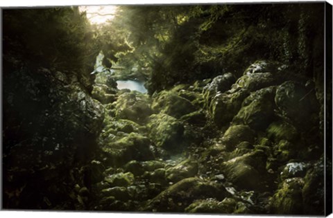 Framed Aged boulders covered with moss in the Ritsa Nature Reserve Abkhazia Print