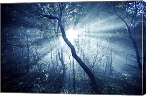 Framed Sun rays in a dark forest, Liselund Slotspark, Denmark Print