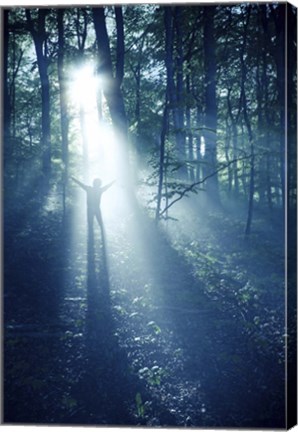 Framed Silhouette of a man standing in the misty rays of a dark forest, Denmark Print