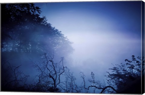 Framed Silhouettes of trees and branches in a dark, misty forest, Denmark Print