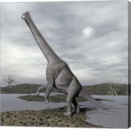 Framed Brachiosaurus dinosaur backdropped by a full moon Print