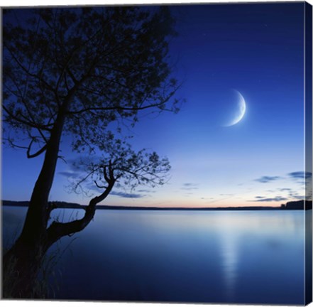 Framed Silhouette of a lonely tree in a lake against a starry sky and moon Print