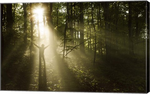 Framed Silhouette of a man standing in the sunrays of a dark, misty forest, Denmark Print