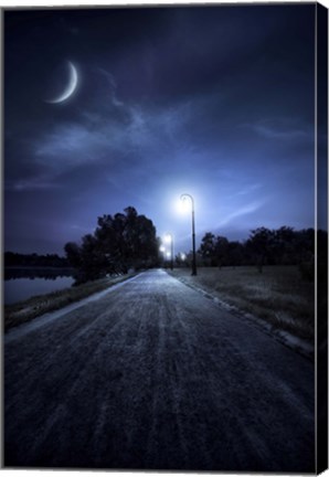 Framed road in a park at night against moon and moody sky, Moscow, Russia Print