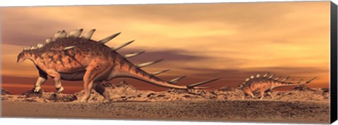 Framed Kentrosaurus mother and baby walking in the desert by sunset Print